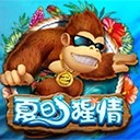 Www.yaxin221.com
